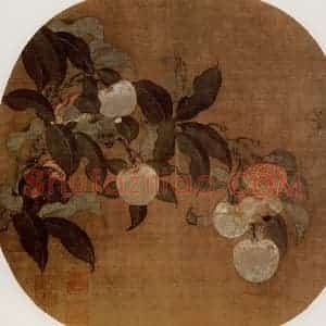 宋代 夫名《荔枝图》国画花鸟作品图片赏析