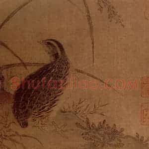 宋代 夫名《鹌鹁图》国画花鸟作品图片赏析