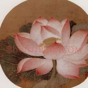 宋代 夫名《出水芙蓉图》国画花鸟作品图片赏析