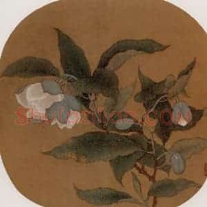 宋代 夫名《夜合花图》国画花鸟作品图片赏析