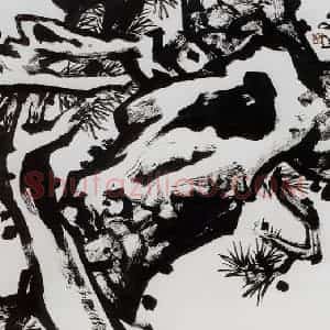 1998年 汤文选《盘龙卧虎》国画作品图片赏析