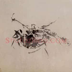 徐渭《墨花图册》国画花鸟作品图片赏析