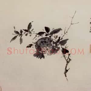 徐渭《墨花图册》国画花鸟作品图片赏析