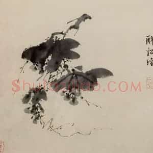 徐渭《墨花图册》国画花鸟作品图片赏析