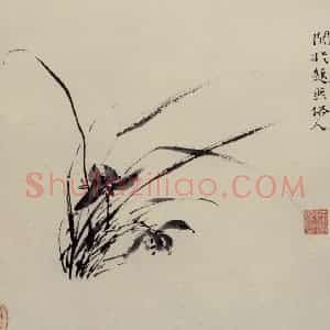 徐渭《墨花图册》国画花鸟作品图片赏析
