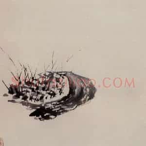 徐渭《墨花图册》国画花鸟作品图片赏析