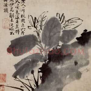 徐渭《花卉人物卷》国画花鸟人物作品图片赏析