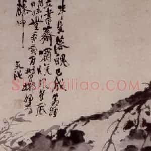 徐渭《葡萄图》国画花鸟作品图片赏析