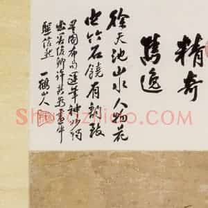 徐渭《花鸟图》国画花鸟作品图片赏析