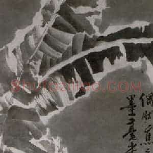 徐渭《芭蕉梅花图》国画花鸟作品图片赏析
