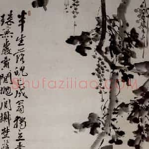 徐渭《葡萄图》国画花鸟作品图片赏析