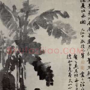 徐渭《牡丹蕉石图》国画花鸟作品图片赏析