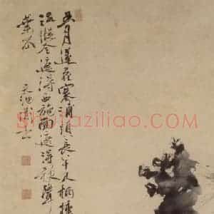 徐渭《五月莲花图》国画花鸟作品图片赏析