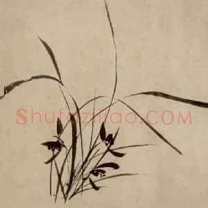 徐渭《杂花卷》国画花鸟作品图片赏析