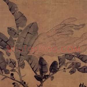 徐渭《佛手图》国画花鸟作品图片赏析