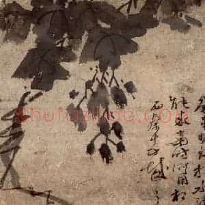 徐渭《墨葡萄图》国画花鸟作品图片赏析