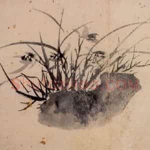 徐渭《花卉图册》国画花鸟作品图片赏析