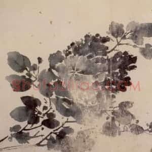徐渭《花卉图册》国画花鸟作品图片赏析