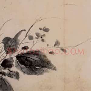 徐渭《花卉图册》国画花鸟作品图片赏析