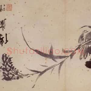 徐渭《花卉图册》国画花鸟作品图片赏析