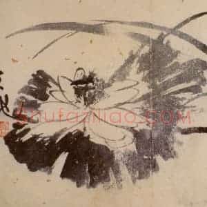 徐渭《花卉图册》国画花鸟作品图片赏析