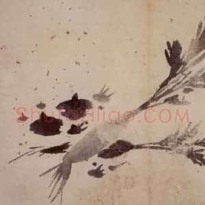 徐渭《花卉图册》国画花鸟作品图片赏析