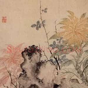 清代 恽寿平《写生花卉竹石图册》国画花鸟作品图片赏析