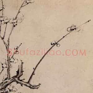 清代 高简、张照《梅花图册》国画花鸟作品图片赏析