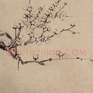 清代 高简、张照《梅花图册》国画花鸟作品图片赏析