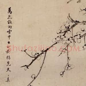 清代 高简、张照《梅花图册》国画花鸟作品图片赏析