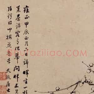 清代 高简、张照《梅花图册》国画花鸟作品图片赏析