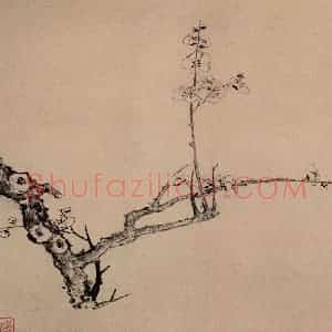 清代 高简、张照《梅花图册》国画花鸟作品图片赏析