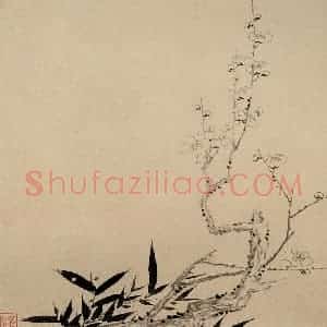 清代 高简、张照《梅花图册》国画花鸟作品图片赏析