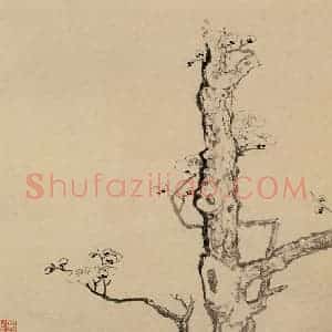 清代 高简、张照《梅花图册》国画花鸟作品图片赏析