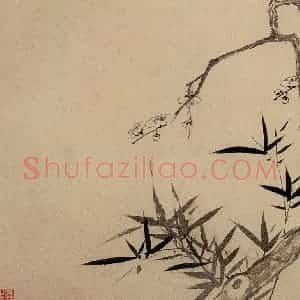 清代 高简、张照《梅花图册》国画花鸟作品图片赏析