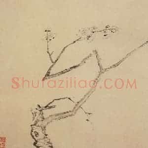 清代 高简、张照《梅花图册》国画花鸟作品图片赏析