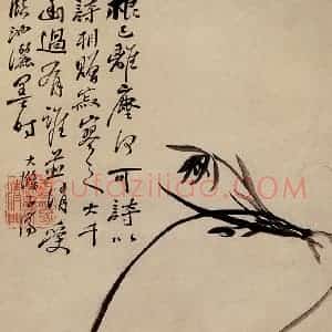 清代 原济《芳兰图》国画花鸟作品图片赏析