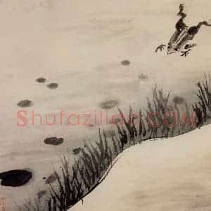 清代 高其佩《水中八事图册》国画花鸟作品图片赏析