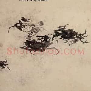 清代 高其佩《水中八事图册》国画花鸟作品图片赏析
