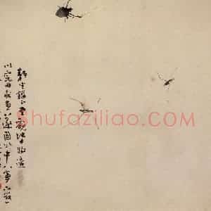 清代 高其佩《水中八事图册》国画花鸟作品图片赏析