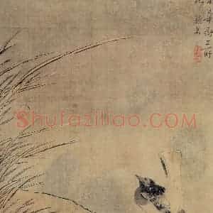 清代 颜岳《花鸟图册》国画花鸟作品图片赏析