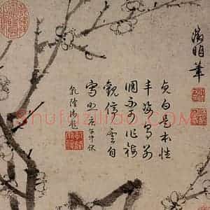 明代 文征明《冰姿倩影图》国画花鸟作品图片赏析