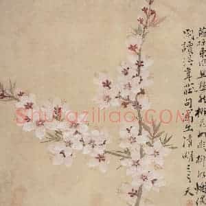 清代 颜岳《花鸟图册》国画花鸟作品图片赏析
