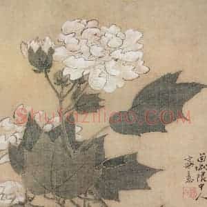 清代 颜岳《花鸟图册》国画花鸟作品图片赏析