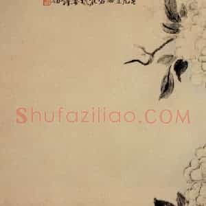 清代 陈撰《折枝花卉图册》国画花鸟作品图片赏析