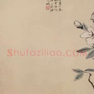 清代 陈撰《折枝花卉图册》国画花鸟作品图片赏析