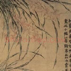 清代 金农《兰花图》国画花鸟作品图片赏析