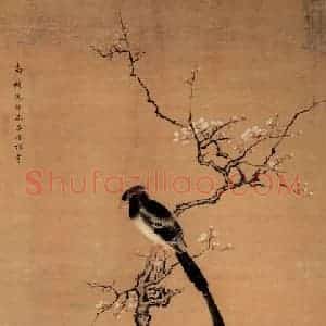 清代 沈铨《梅花绶带图》国画花鸟作品图片赏析