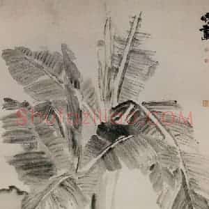 清代 闵贞《蕉石图》国画花鸟作品图片赏析