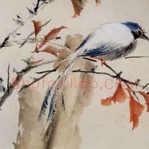 清代 虚谷《花鸟水族图册》国画花鸟作品图片赏析